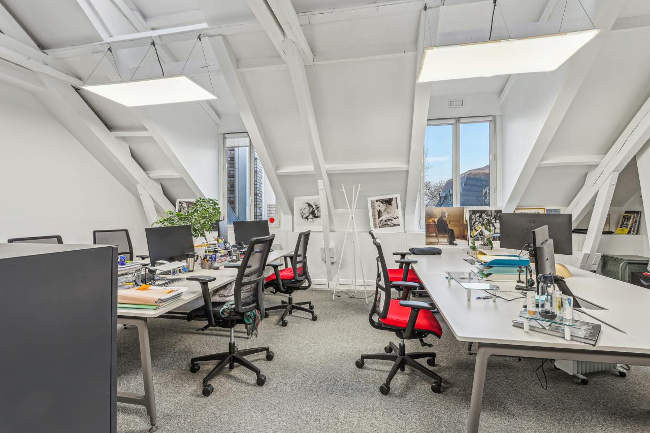 Bureau La Plaine Saint-Denis 381m² Location bureau La Plaine Saint-Denis Seine-Saint-Denis OLBUR2530313 3